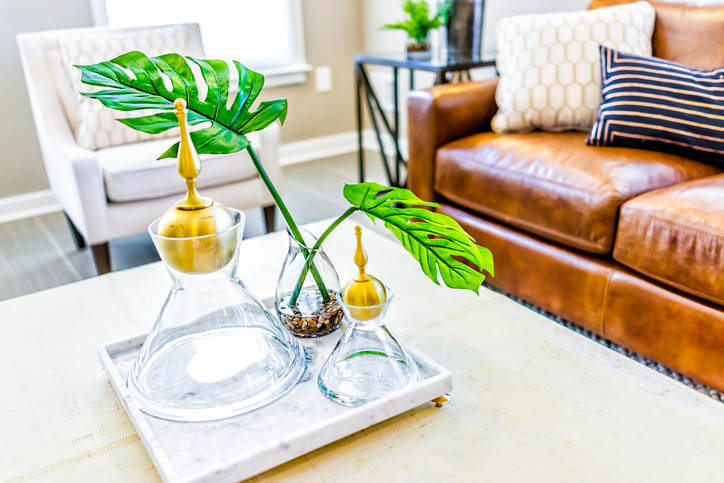 Living room center table plant display